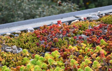 the cost of Cleverton green roof installation