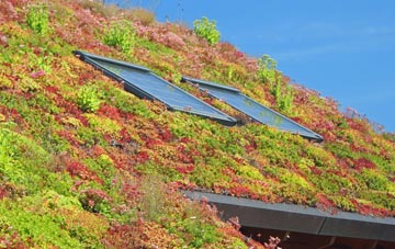 Cleverton living roof systems