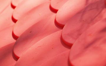 Cleverton plastic roof costs