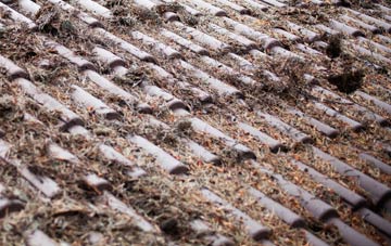 Cleverton roof cleaning companies